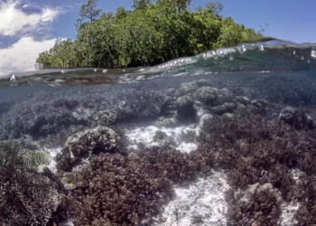 Locul nedescoperit de turiști, descris drept „ultimul paradis din lume”