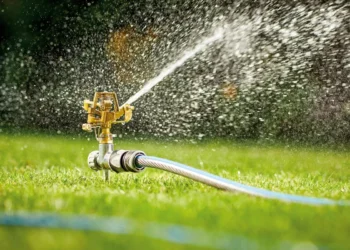 Care este ora perfectă pentru a uda grădina. Așa nu ți se strică plantele