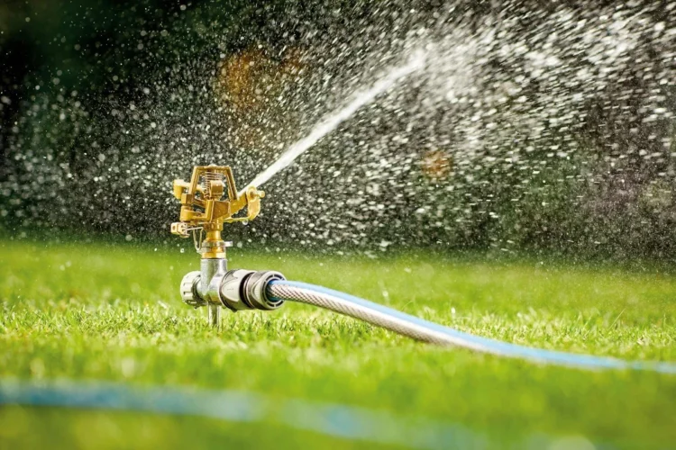 Care este ora perfectă pentru a uda grădina. Așa nu ți se strică plantele