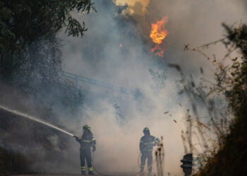Europa în flăcări. 19 țări sunt în „pericol extrem” de incendii din cauza temperaturilor caniculare