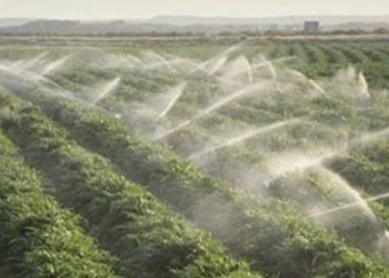 Ministerul Agriculturii alocă 1,5 miliarde de euro pentru irigaţii, desecare şi drenaj