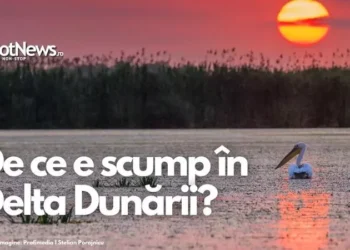 De ce e scump în Delta Dunării? Discuție HotNews.ro LIVE cu Cătălin Țibuleac, președintele Asociației de Management a Destinației Turistice Delta Dunării, miercuri, 20 iulie, ora 14