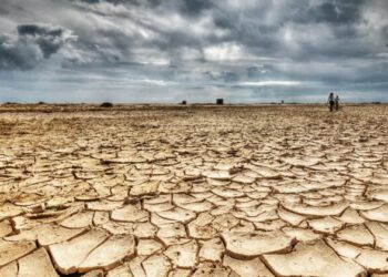 Suprafața totală afectată de secetă se apropie de 90.000 de hectare. Sunt 19 județe afectate