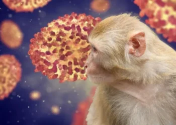 OMS, avertisment de ultimă oră în privința variolei maimuței: „Există riscul ca boala să se răspândească la copii și gravide”