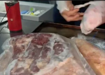 Tone de carne şi alte alimente expirate chiar şi de trei ani, la Costineşti. ANPC a venit cu ANAF şi mascaţii, la cea mai cunoscută discotecă de pe litoral (Video)