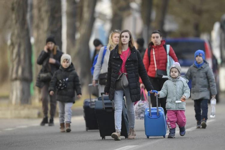 Peste 6.400 de ucraineni au contracte de muncă în România. Domeniile în care lucrează