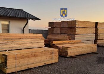 146 de percheziții în capitală și în 16 județe, la hoții de lemne