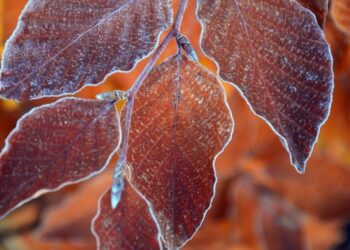 Temperaturi de vară în acest weekend! Când vine frigul | Temperaturile scad cu 10 grade de la o zi la alta