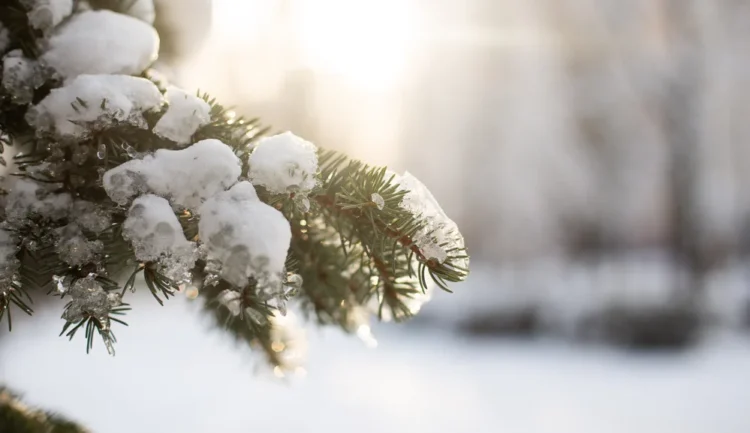 Vremea se schimbă radical de luni. Prognoza meteo pentru următoarele patru săptămâni Vremea se schimbă radical de luni. Prognoza meteo pentru următoarele patru săptămâni