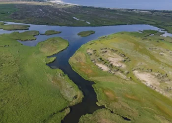 Fact checking: Ce înseamnă adâncirea canalului Bâstroe? Seacă Delta? Dispar sturionii? Și ce poate să facă România – soluția de compromis