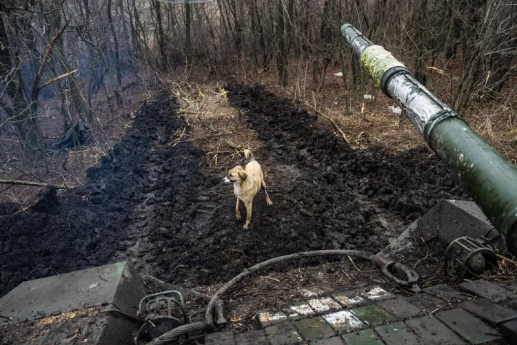 ISW: Prigojin îl acuză pe Putin de conspirație împotriva grupului de mercenari Wagner ISW: Prigojin îl acuză pe Putin de conspirație împotriva grupului de mercenari Wagner