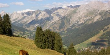 Exploatarea forestieră, incendiile şi agricultura provoacă dispariţia pădurilor montane într-un ritm tot mai alert (studiu)