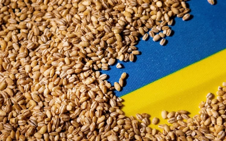 Exporturile de cereale ale Ucrainei au scăzut cu 38%