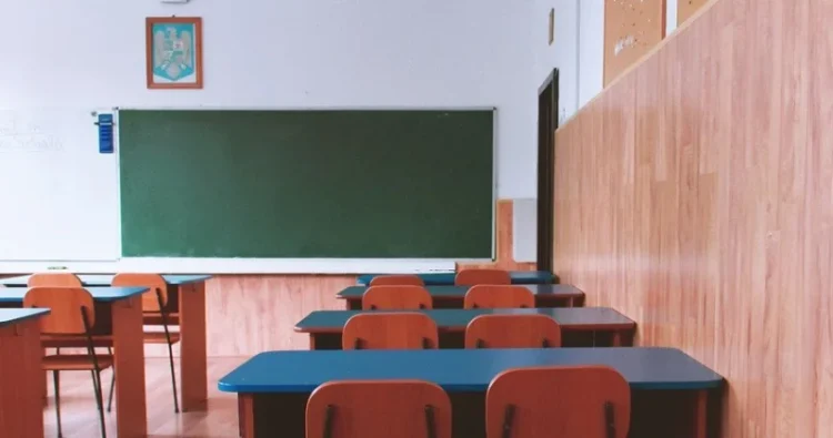 Lider sindicat învățământ, despre greva din școli: Fac apel către părinți să țină copiii acasă