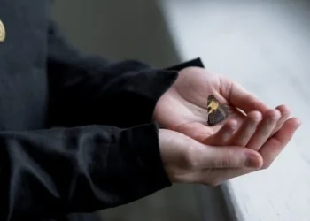 Directiva europeană pentru combaterea traficului de ființe umane, modificată. Ce înseamnă