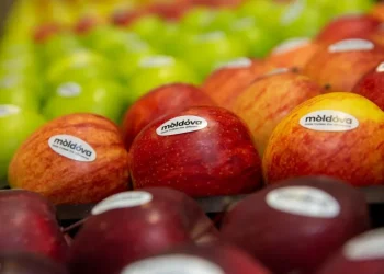 8 beneficii impresionante pentru sănătate ale merelor