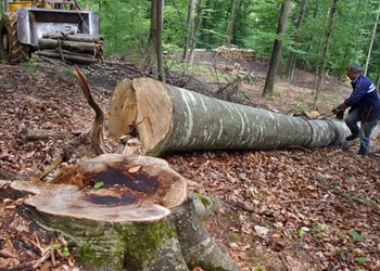 Un Regulament UE intrat ieri în vigoare schimbă regulie pe șapte piețe importante. Companiile mari vor trebui să se conformeze