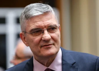 Daniel Dăianu: Sistemul fiscal a fost “capturat de grupuri de interese”