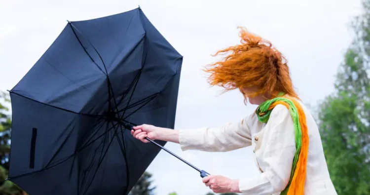 Vești proaste de la ANM: Va fi cod galben de vânt în aproape întreaga ţară. Cum va fi vremea în București