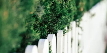 La ce distanța trebuie să fie gardul față de casă și cât de înalt poate fi. Ce prevede legea, de fapt