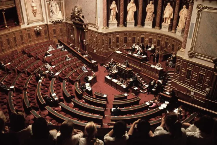 Parlamentul francez se reunește, luni, pentru a înscrie, în Constituție, libertatea de a avorta