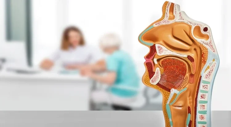 Cancerul nazo-faringian – cauze, diagnostic, stadii