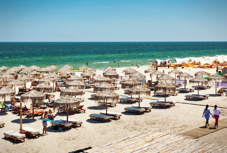 Ploaie de amenzi pe litoral. Ce nereguli au descoperit inspectorii ANSVSA