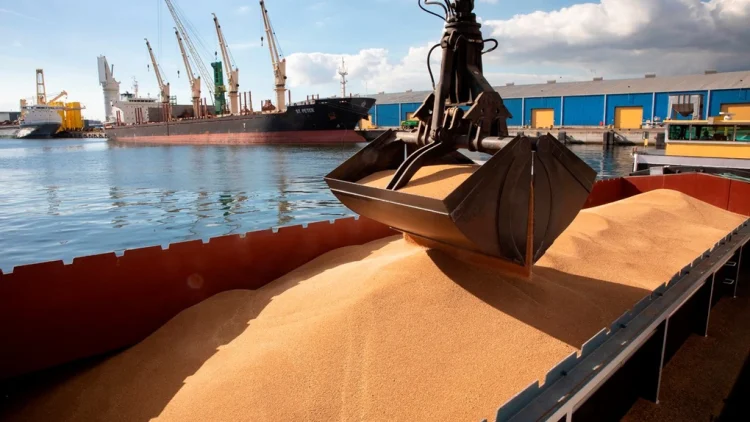 Record negativ la șase luni. Exporturile de cereale ale României au coborât sub pragul de 1,5 miliarde de euro Record negativ la șase luni. Exporturile de cereale ale României au coborât sub pragul de 1,5 miliarde de euro
