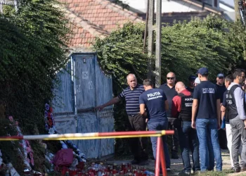 Cum a ajuns personajul care i-a trimis pe piste false pe polițiști în cazul Caracal în mijlocul unei fabrici de troli, inspirați de Sputnik