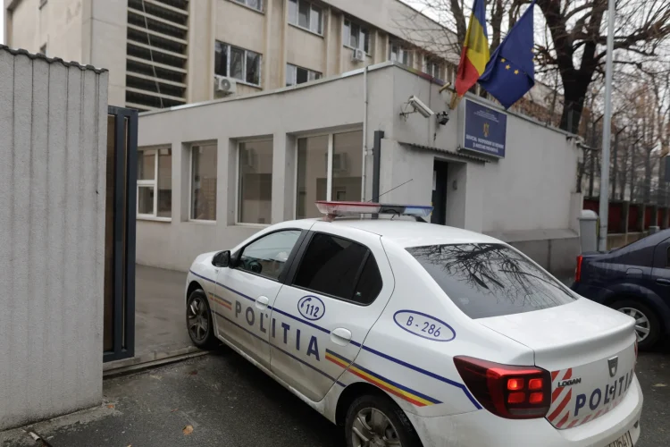 Polițiștii din Constanța au deschis o anchetă, după ce persoane neidentificate au aprins o petardă în gura unei pisici / Animalul a murit