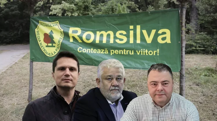 Milionarii care conduc Romsilva. Conturi de sute de mii de euro, bijuterii de alte sute de mii și zeci de terenuri și case, averea membrilor Consiliului de Administrație