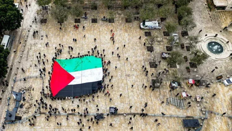 Germania nu va recunoaște statul Palestina. Cum își motivează guvernul de la Berlin decizia