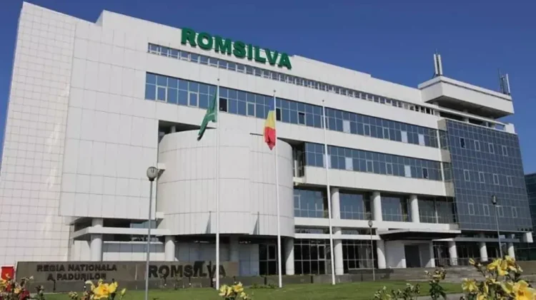 Cine este noul director general al Romsilva: mandatul său este provizoriu și va dura doar 5 luni