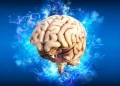 Legătura nebănuită dintre menopauza și Alzheimer se vede în creierul femeilor Legătura nebănuită dintre menopauza și Alzheimer se vede în creierul femeilor