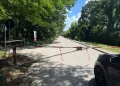 Mașinile revin temporar prin Pădurea Băneasa după o decizie a Curții de Apel, deși 720 de metri din traseu sunt contestați de Ministerul Mediului
