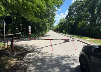 Mașinile revin temporar prin Pădurea Băneasa după o decizie a Curții de Apel, deși 720 de metri din traseu sunt contestați de Ministerul Mediului