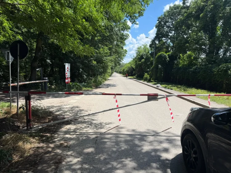 Mașinile revin temporar prin Pădurea Băneasa după o decizie a Curții de Apel, deși 720 de metri din traseu sunt contestați de Ministerul Mediului